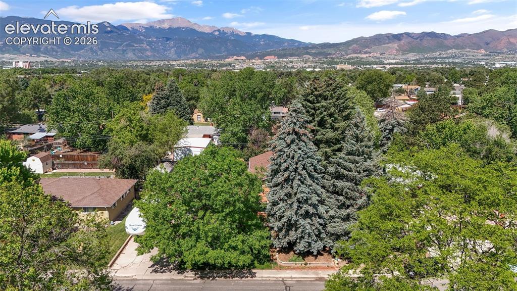 1529 Hollyhock Drive Colorado Springs CO 80907