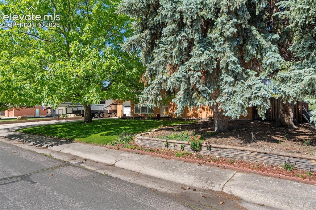 1529 Hollyhock Drive Colorado Springs CO 80907