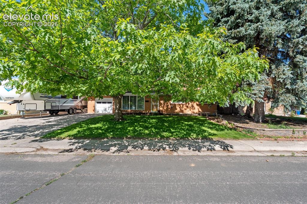 1529 Hollyhock Drive Colorado Springs CO 80907