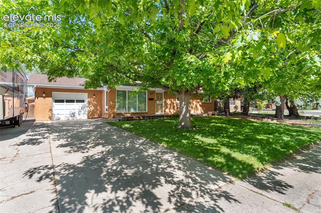 1529 Hollyhock Drive Colorado Springs CO 80907