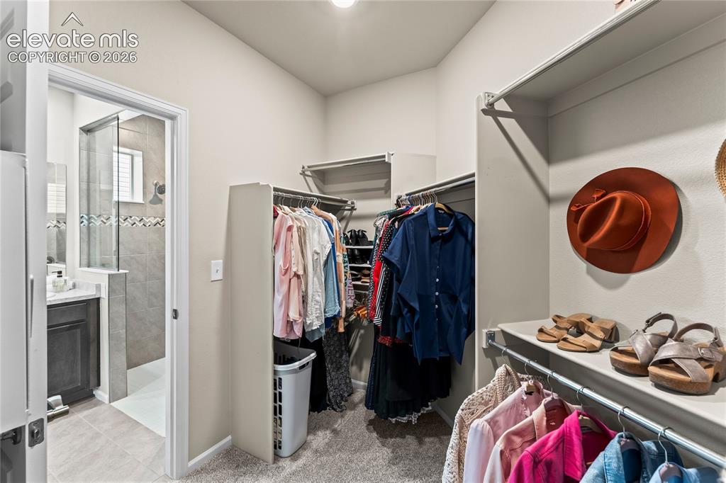 6363 Syre Point Colorado Springs CO 80927