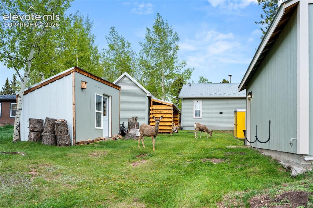 33 Maid Marian Drive Divide CO 80814