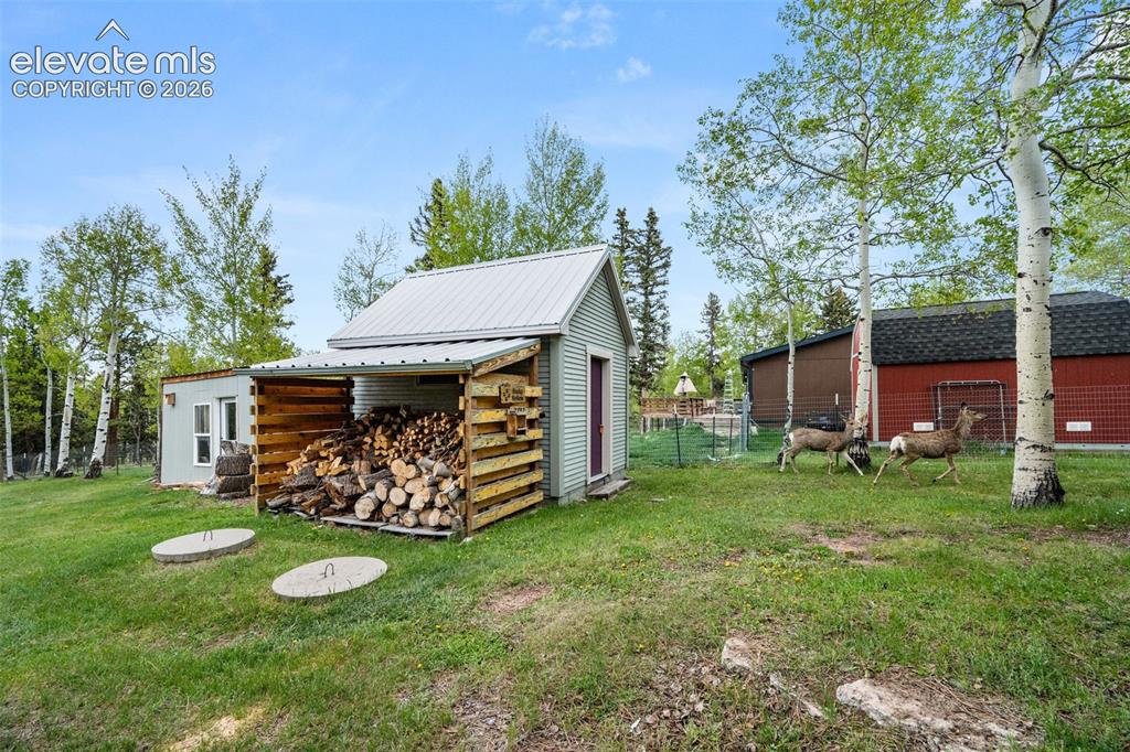 33 Maid Marian Drive Divide CO 80814