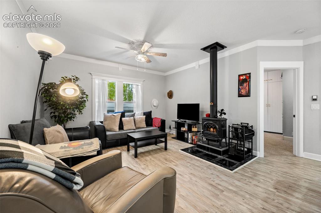 33 Maid Marian Drive Divide CO 80814