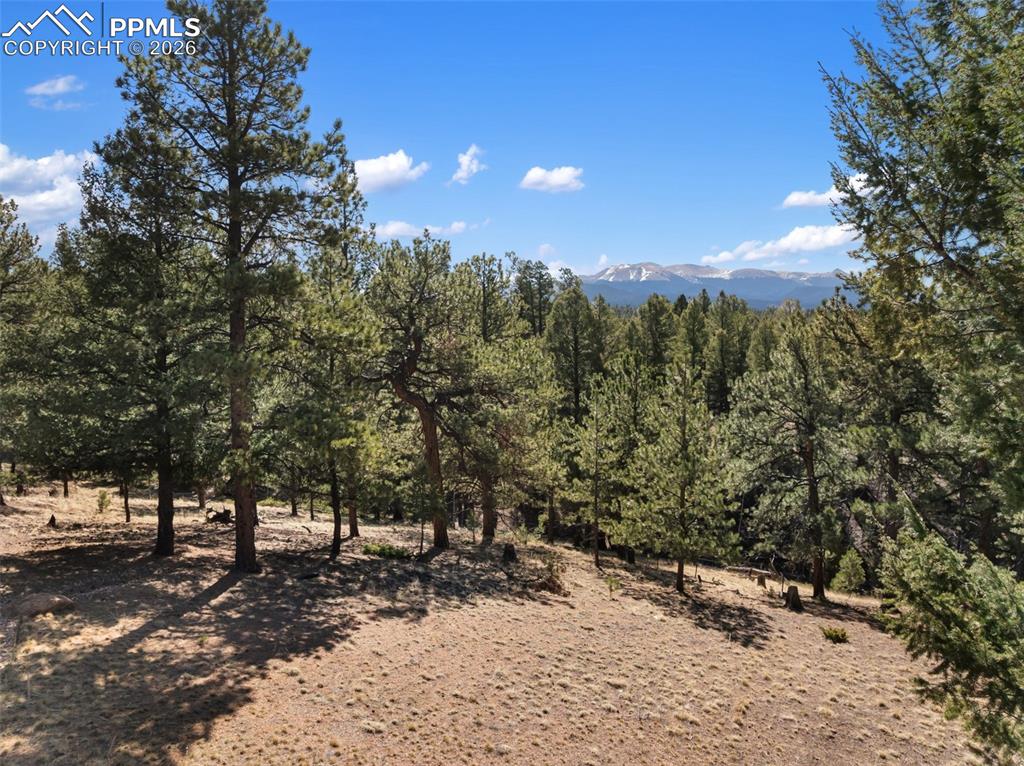 48 Walden Lake Circle Divide CO 80814