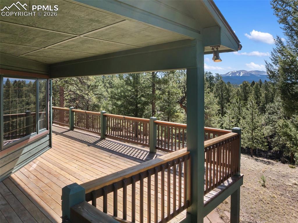 48 Walden Lake Circle Divide CO 80814