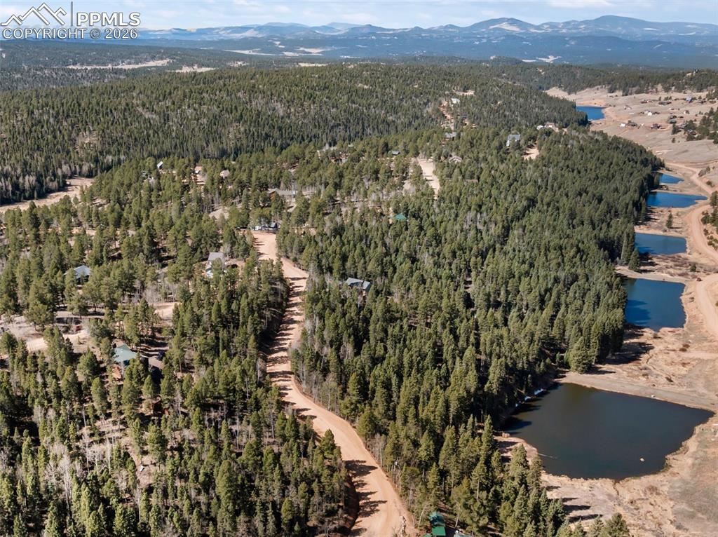 48 Walden Lake Circle Divide CO 80814