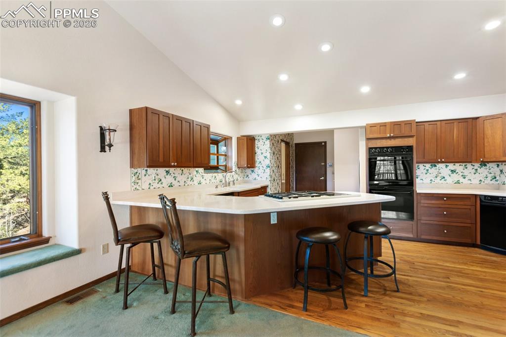 48 Walden Lake Circle Divide CO 80814