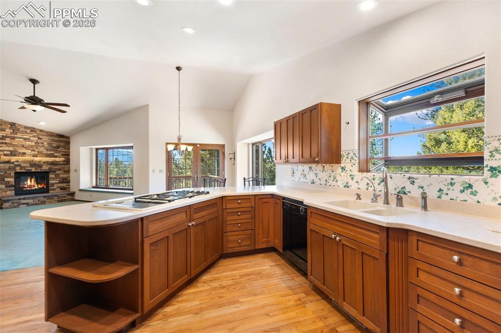 48 Walden Lake Circle Divide CO 80814