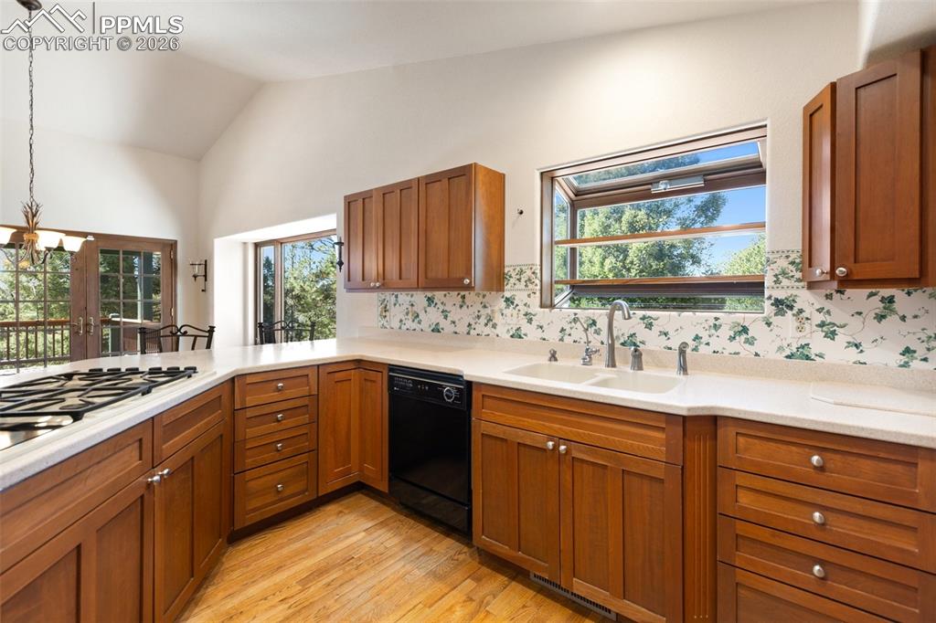 48 Walden Lake Circle Divide CO 80814
