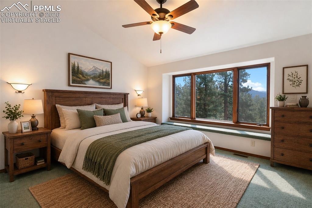 48 Walden Lake Circle Divide CO 80814