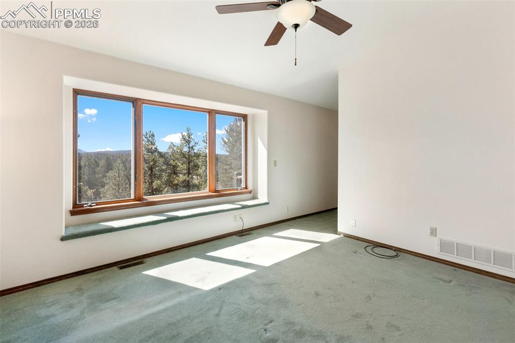 48 Walden Lake Circle Divide CO 80814