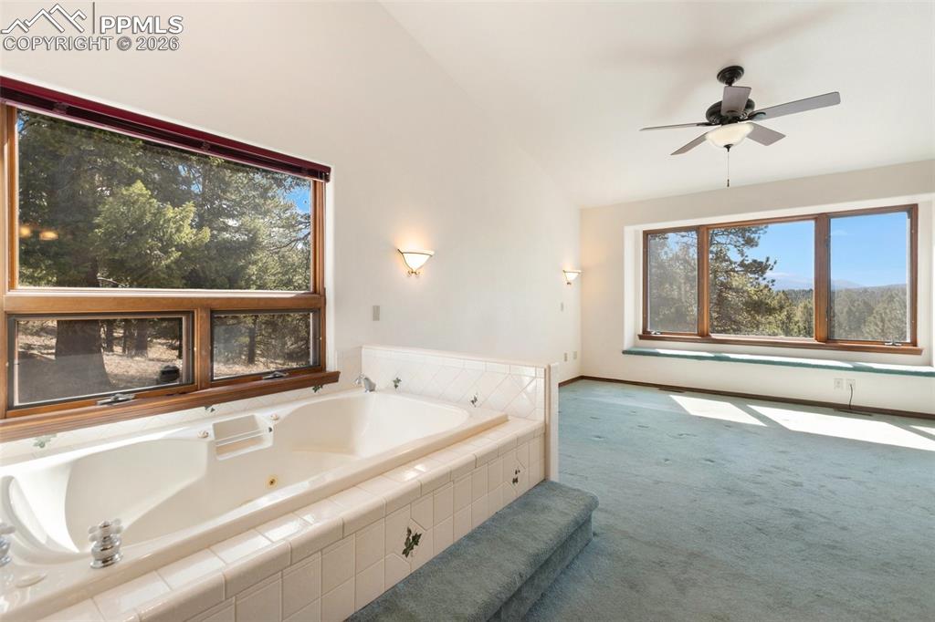 48 Walden Lake Circle Divide CO 80814
