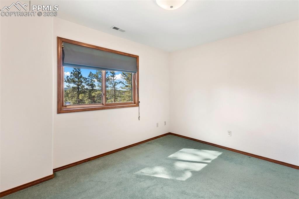 48 Walden Lake Circle Divide CO 80814