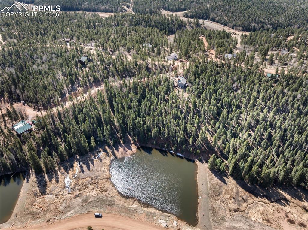 48 Walden Lake Circle Divide CO 80814