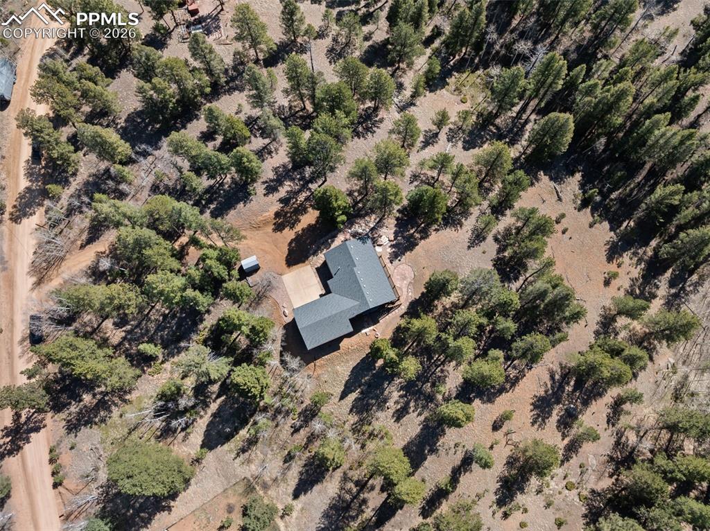 48 Walden Lake Circle Divide CO 80814