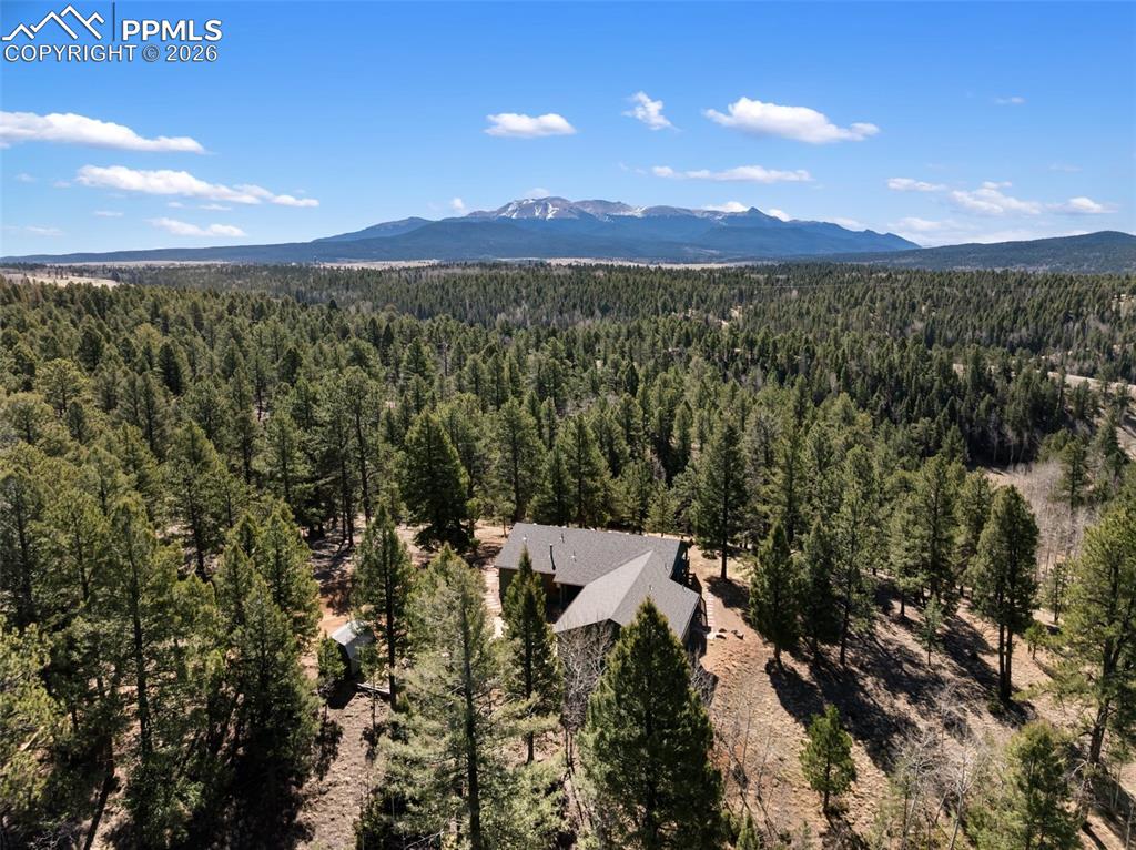48 Walden Lake Circle Divide CO 80814