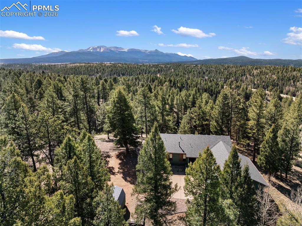 48 Walden Lake Circle Divide CO 80814