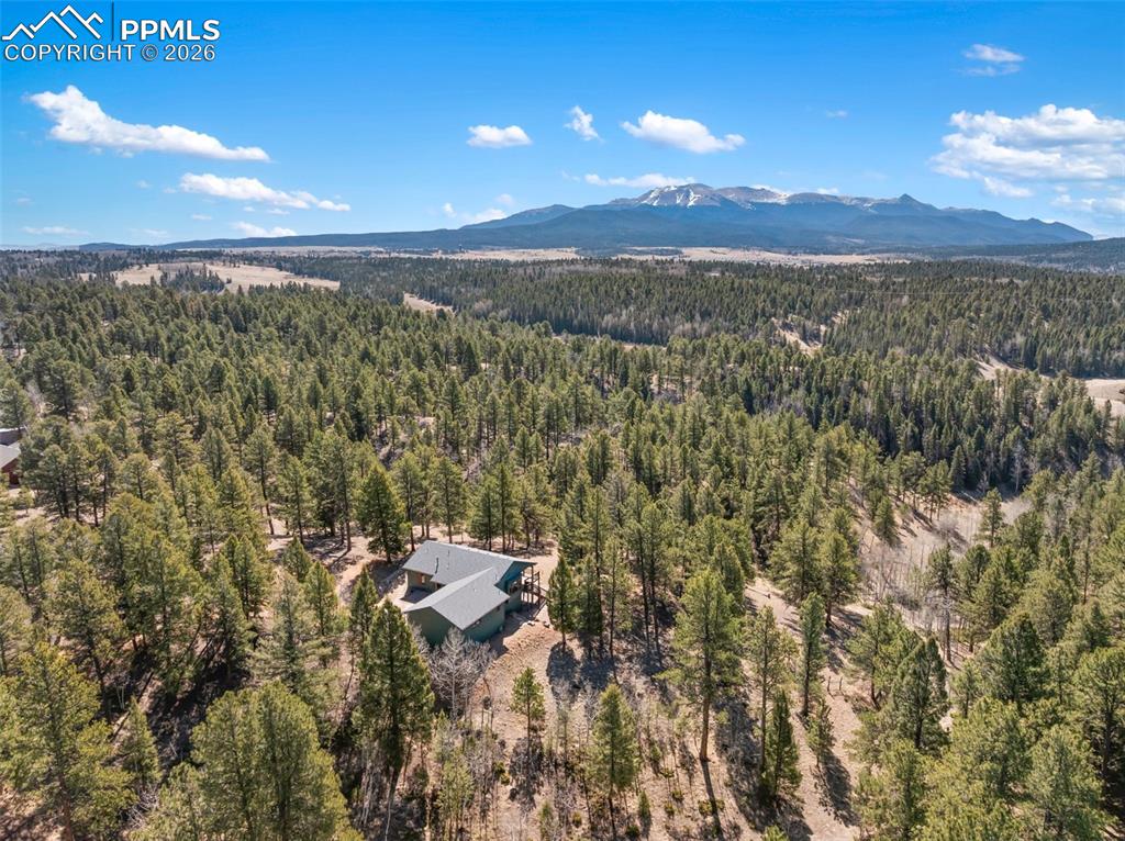 48 Walden Lake Circle Divide CO 80814