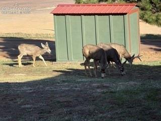 320 Columbine Road Palmer Lake CO 80133