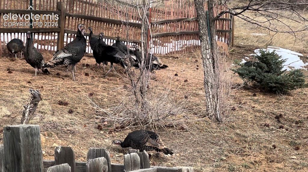 320 Columbine Road Palmer Lake CO 80133
