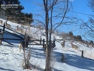 320 Columbine Road Palmer Lake CO 80133