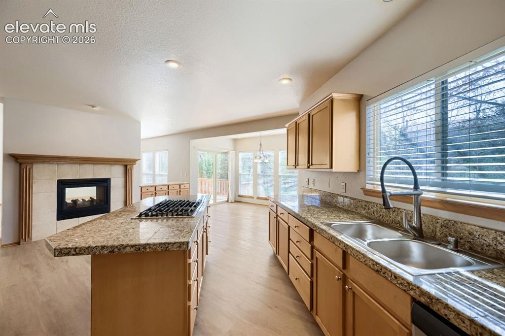11925 Hanging Valley Way Colorado Springs CO 80921