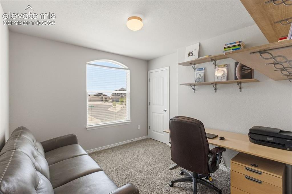 9962 Emerald Vista Drive Peyton CO 80831