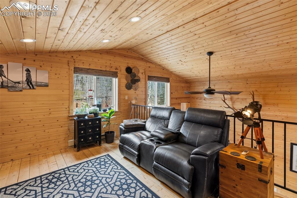 325 Willow Road Divide CO 80814