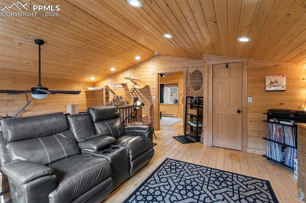 325 Willow Road Divide CO 80814