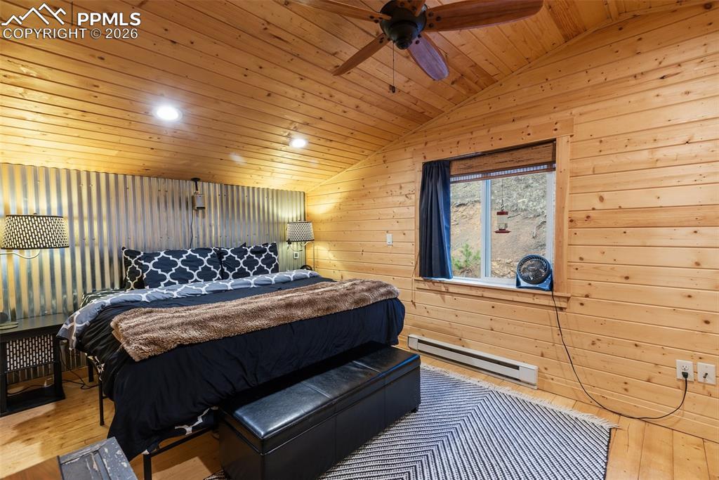 325 Willow Road Divide CO 80814