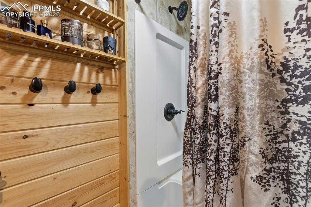 325 Willow Road Divide CO 80814