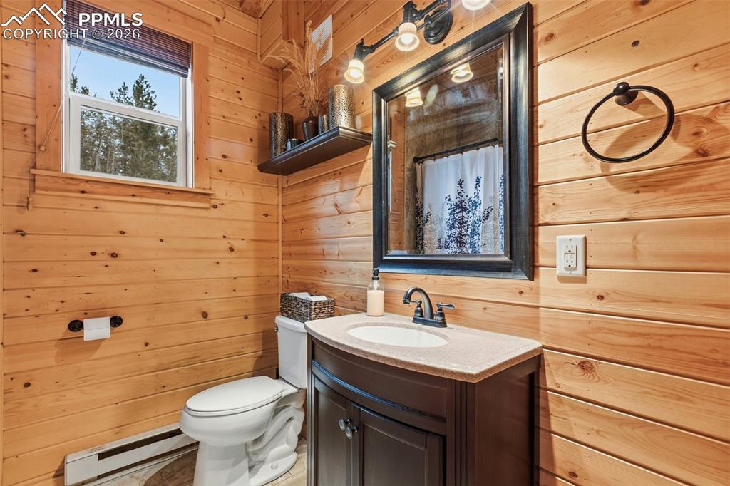 325 Willow Road Divide CO 80814