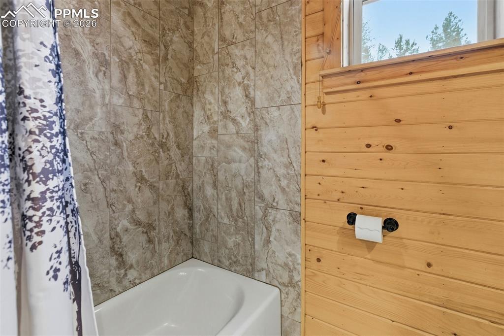325 Willow Road Divide CO 80814