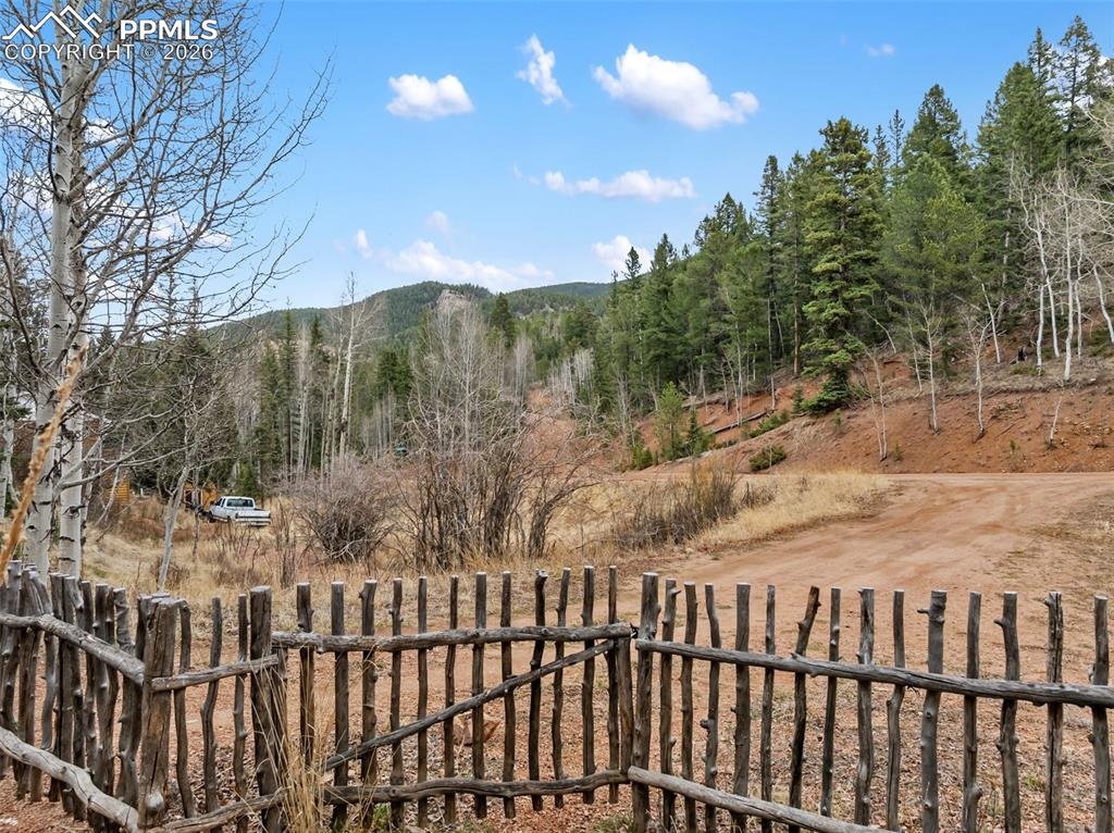 325 Willow Road Divide CO 80814
