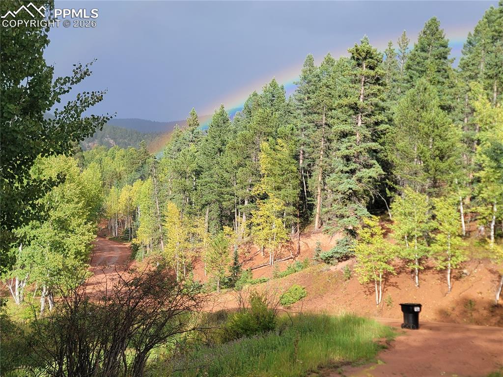325 Willow Road Divide CO 80814