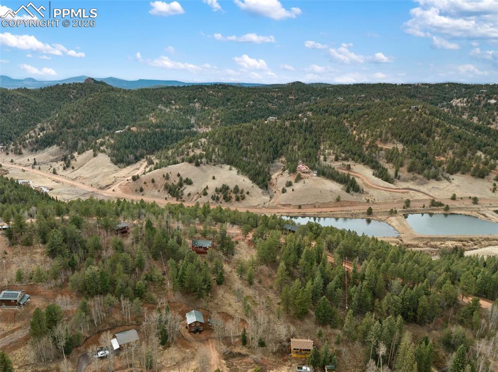 325 Willow Road Divide CO 80814