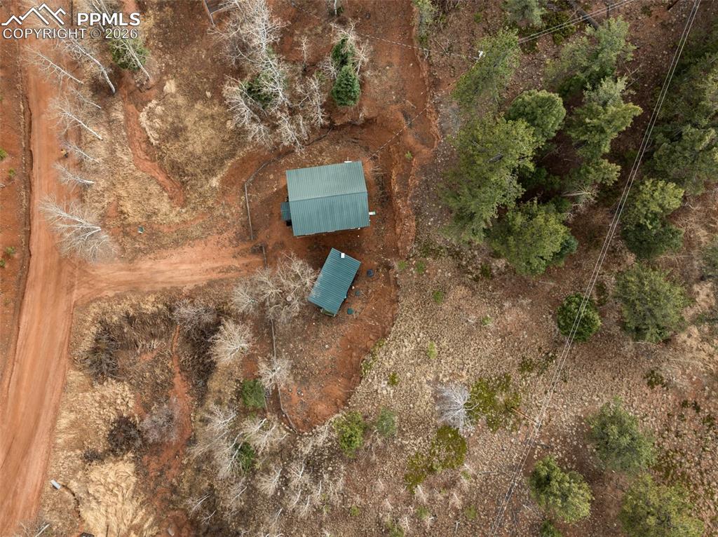 325 Willow Road Divide CO 80814