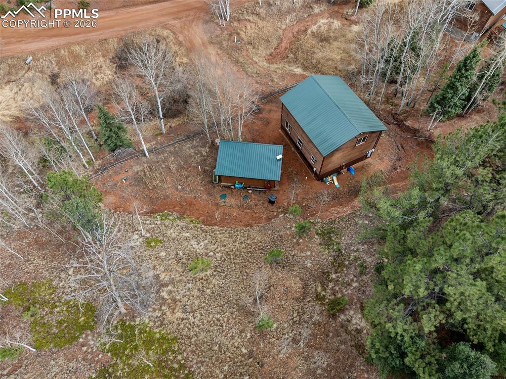 325 Willow Road Divide CO 80814