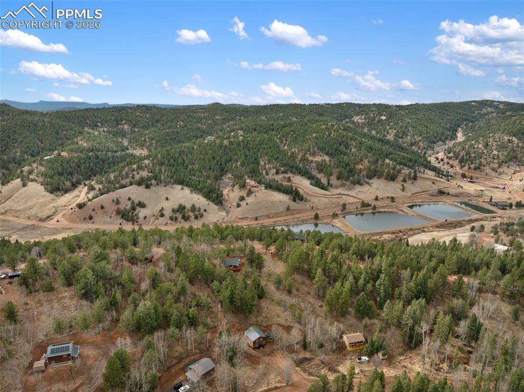 325 Willow Road Divide CO 80814