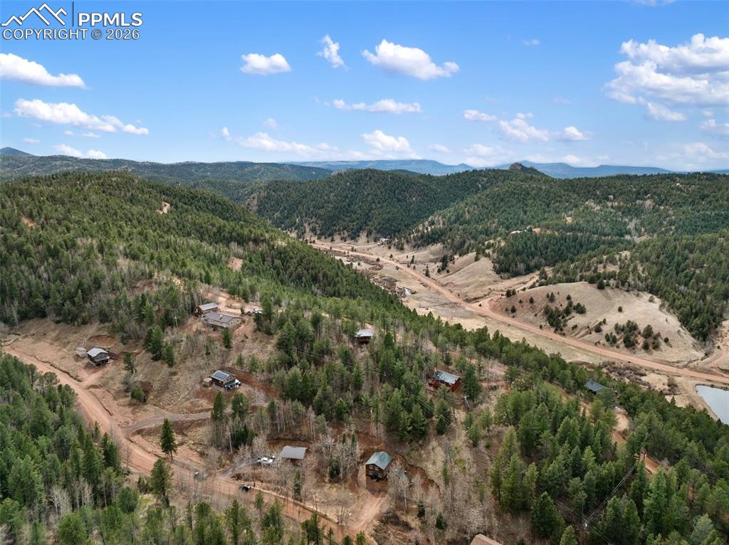 325 Willow Road Divide CO 80814