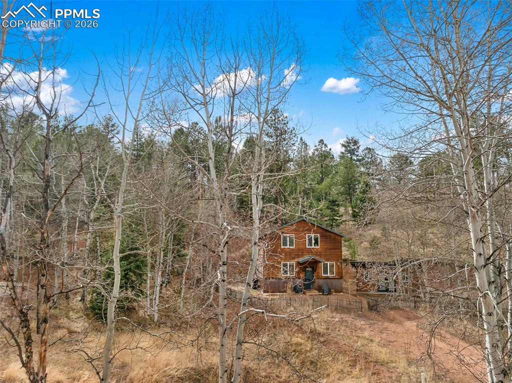 325 Willow Road Divide CO 80814
