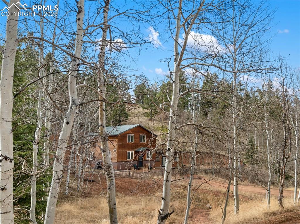 325 Willow Road Divide CO 80814