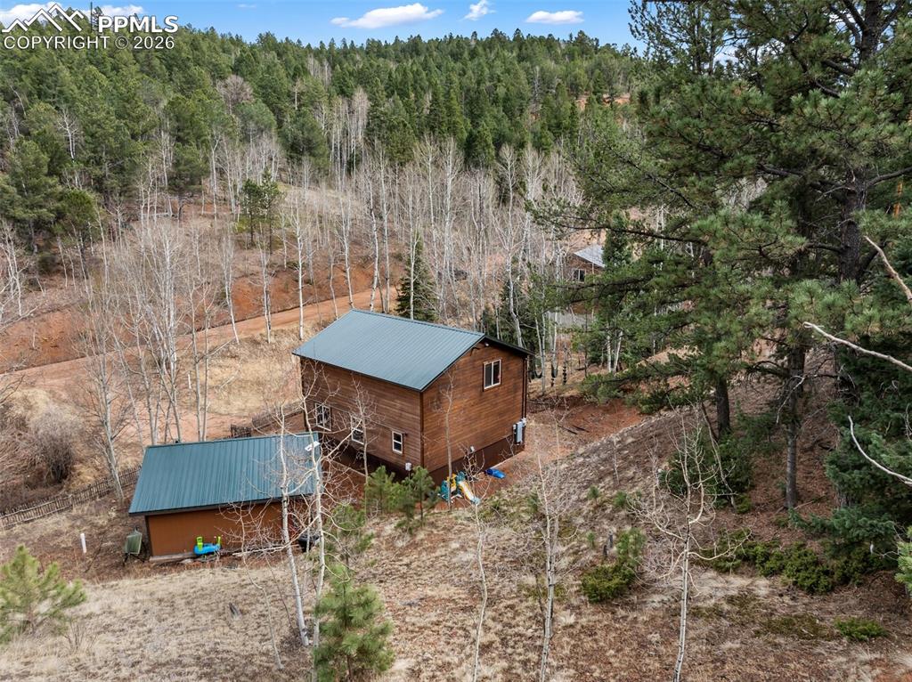 325 Willow Road Divide CO 80814