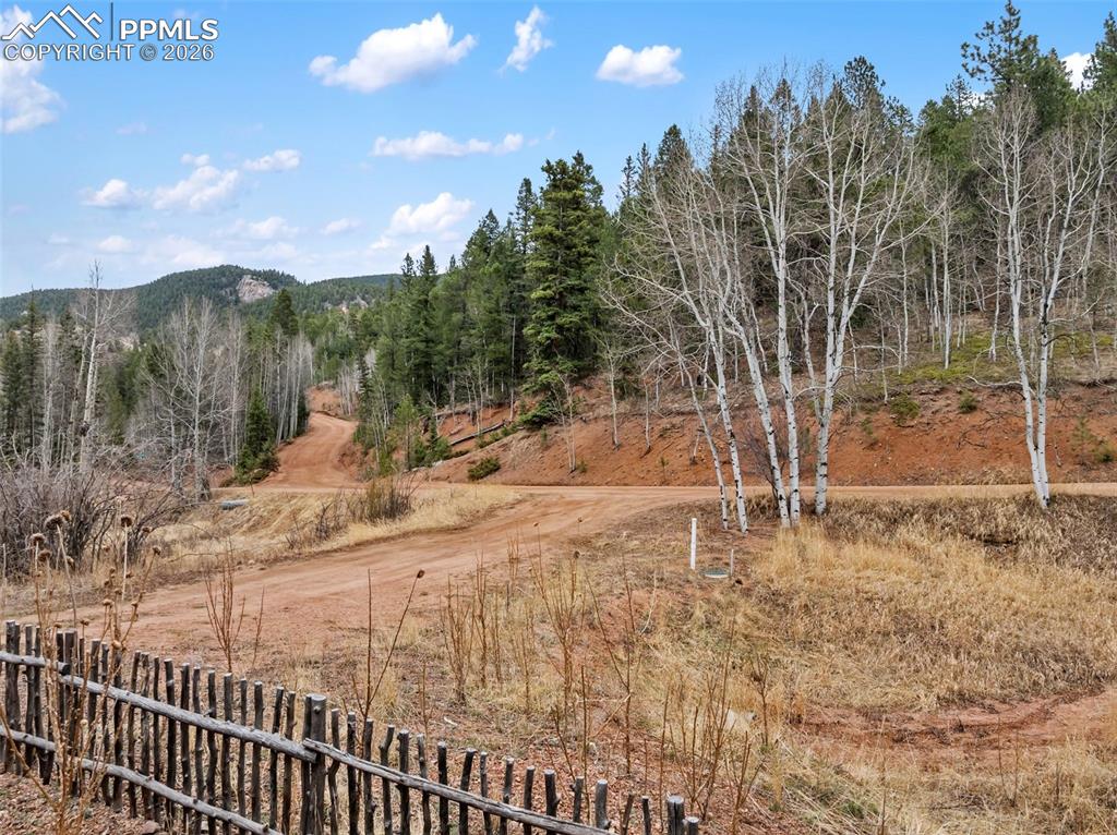 325 Willow Road Divide CO 80814
