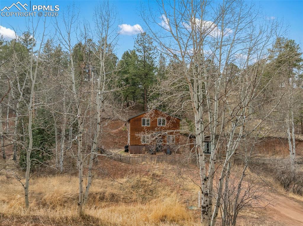 325 Willow Road Divide CO 80814