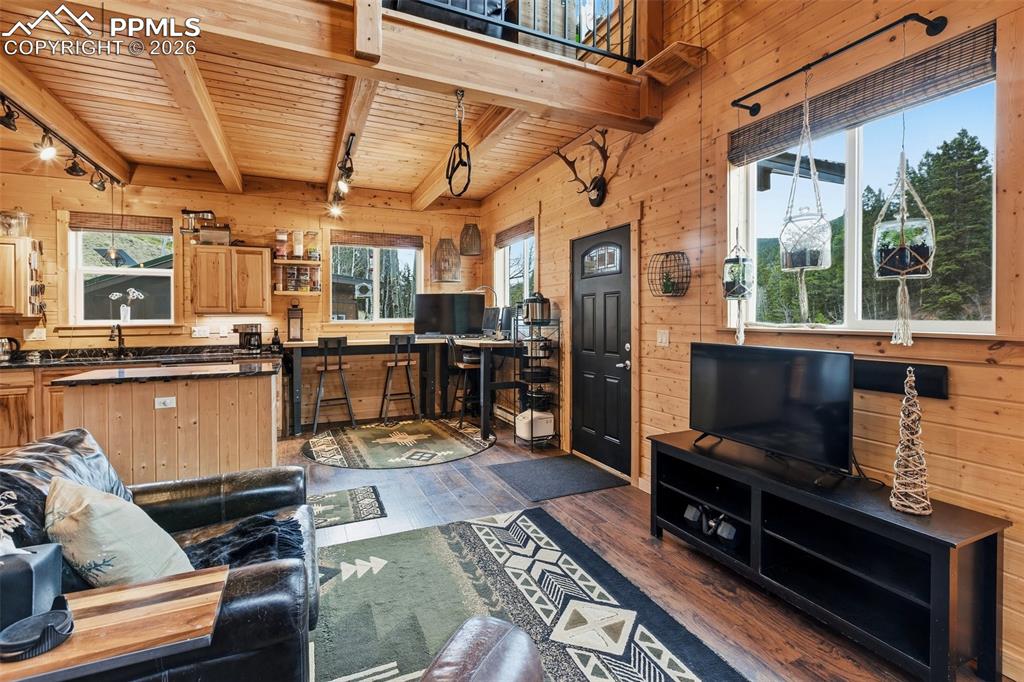 325 Willow Road Divide CO 80814