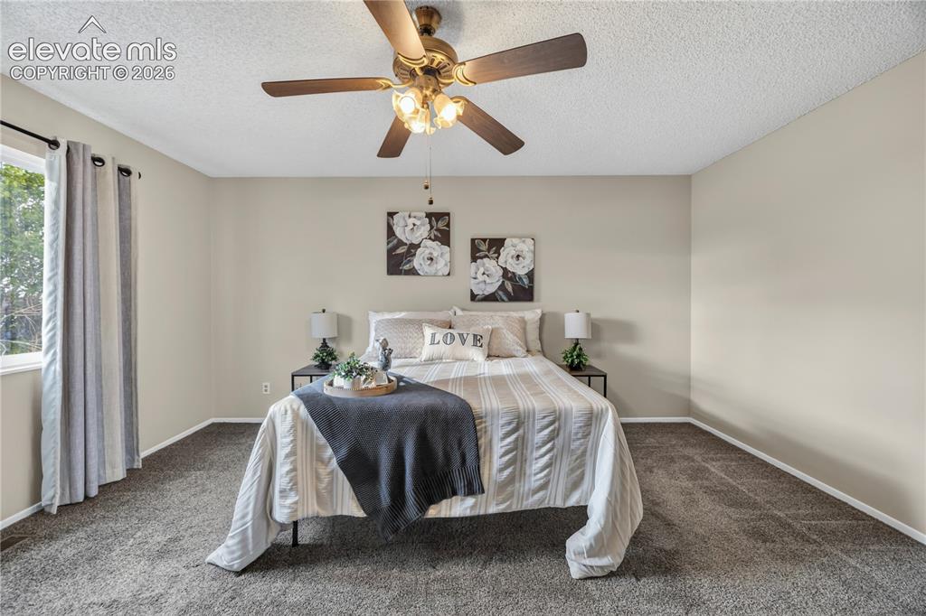 7410 Woody Creek Drive Colorado Springs CO 80911