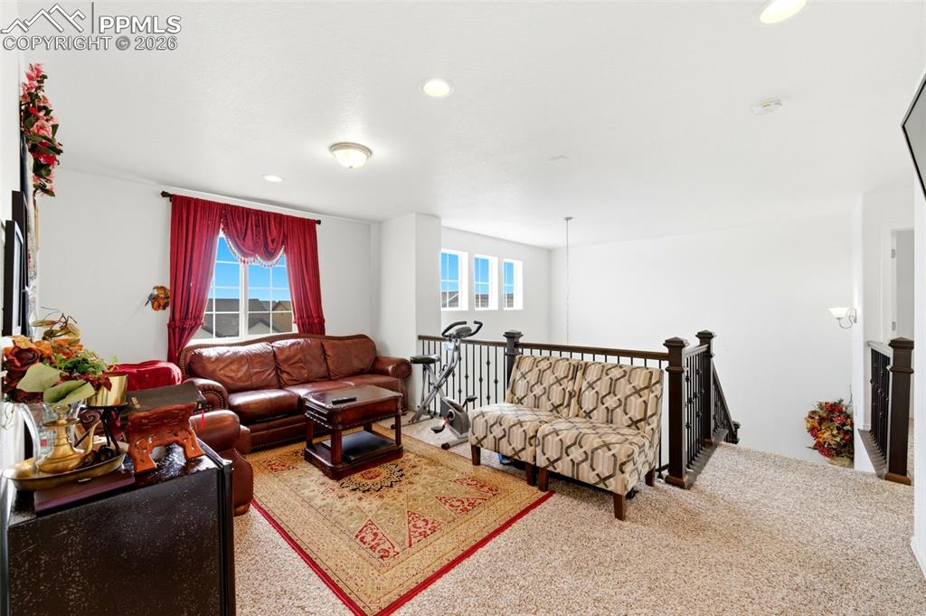 7082 Fauna Glen Drive Colorado Springs CO 80927