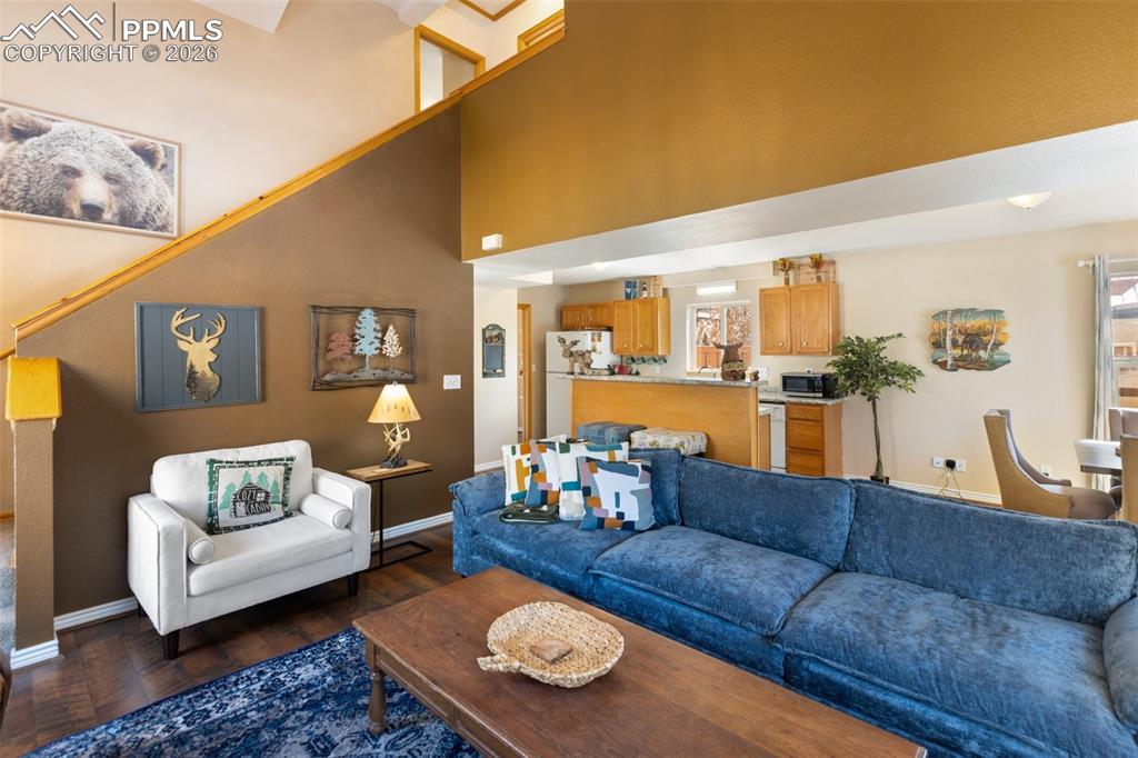 509 N Center Street Woodland Park CO 80863